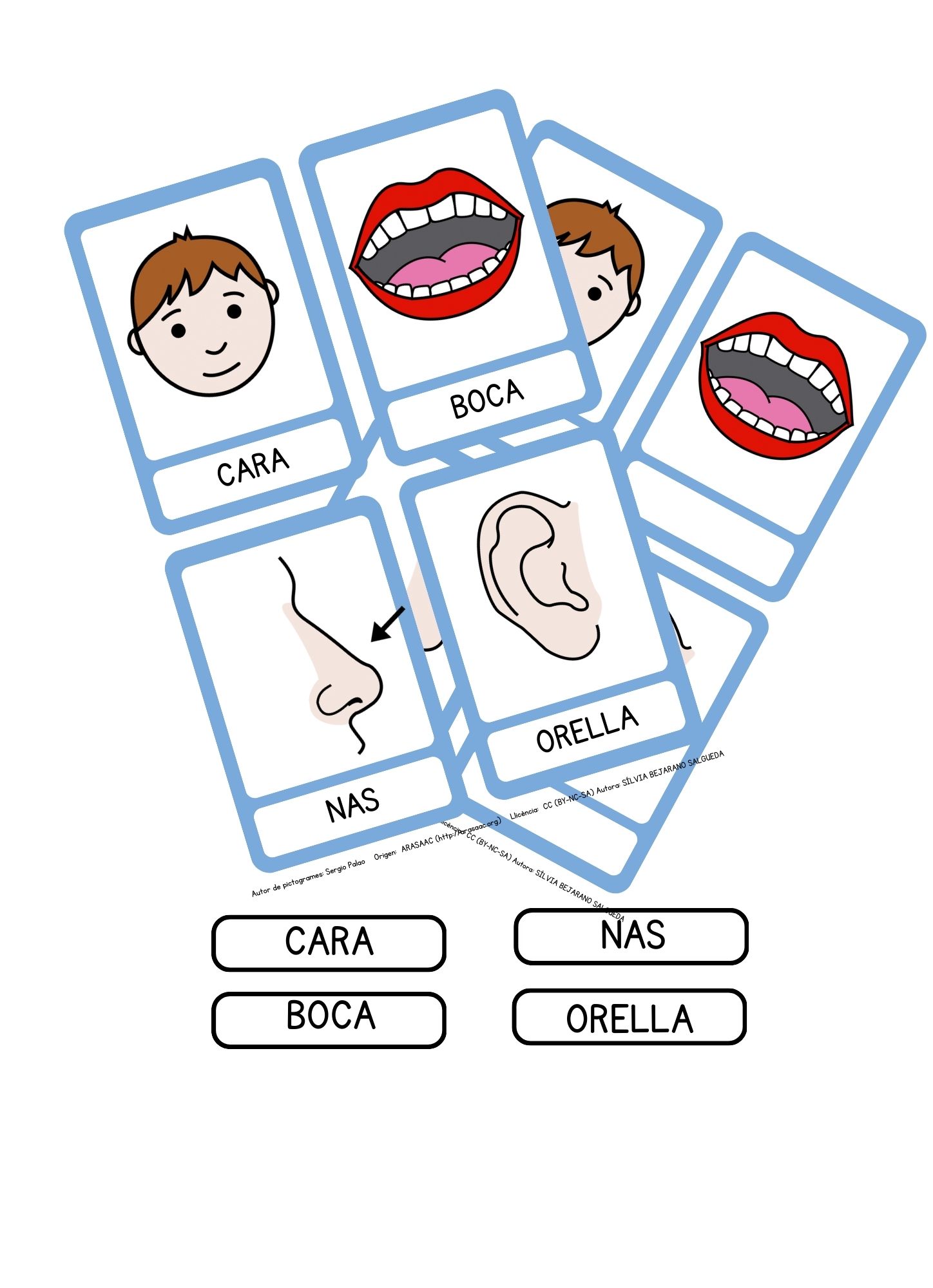 Vocabulari De Les Parts De Cos Arasaac Materiales Caa